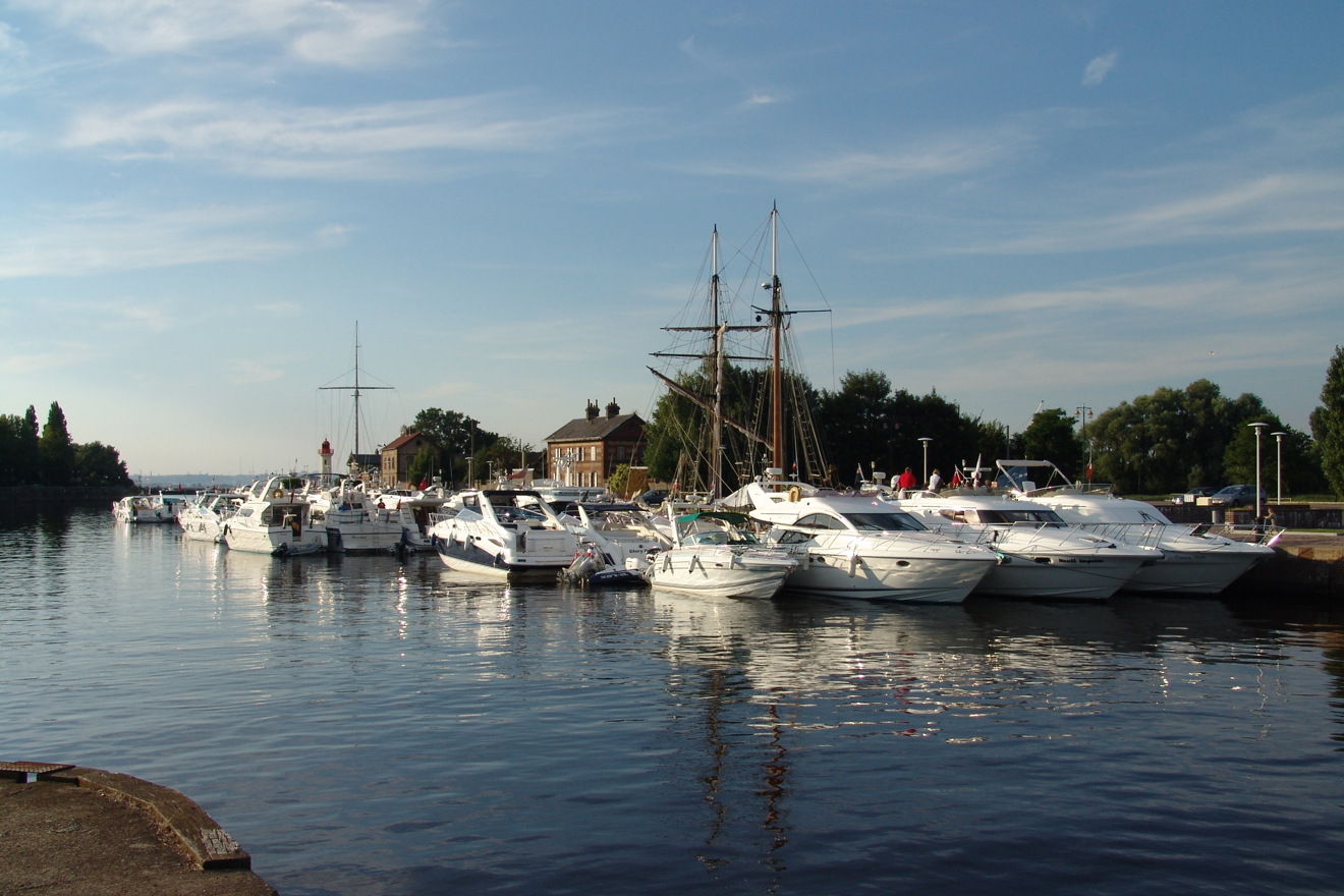 Boats stationary at marina