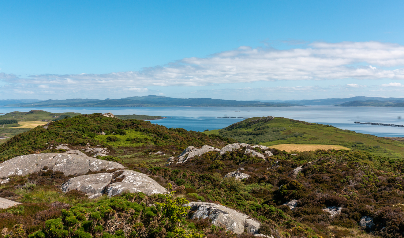 An exotic view of Gingha, Scotland UK