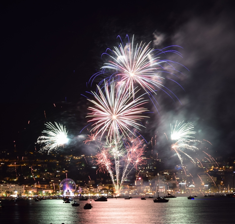 Fireworks at night