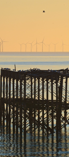 A boat sailing past Brighton peer at sunset
