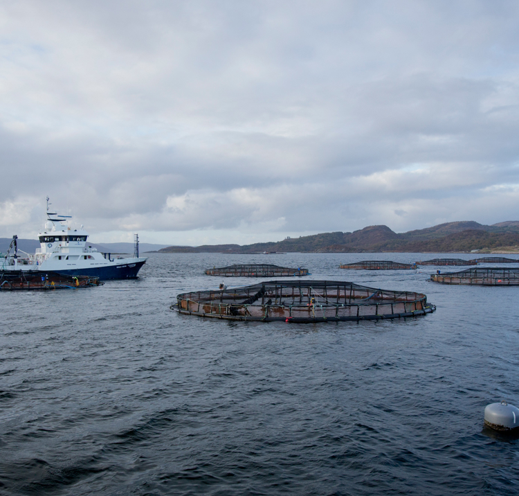 Aquaculture 2000X1333