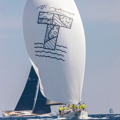 Sail of boat with Young Tigris logo printed on it 
