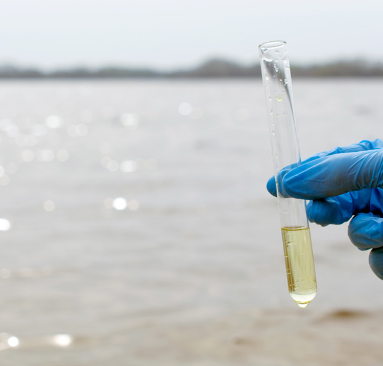 Water Quality Testing