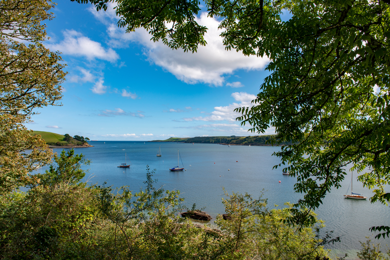 	An image of a beautiful lake visible from top where the trees are partially covering the lake from the sides